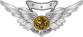 Combat AirCrew Wings